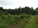 Lonnekerberg
